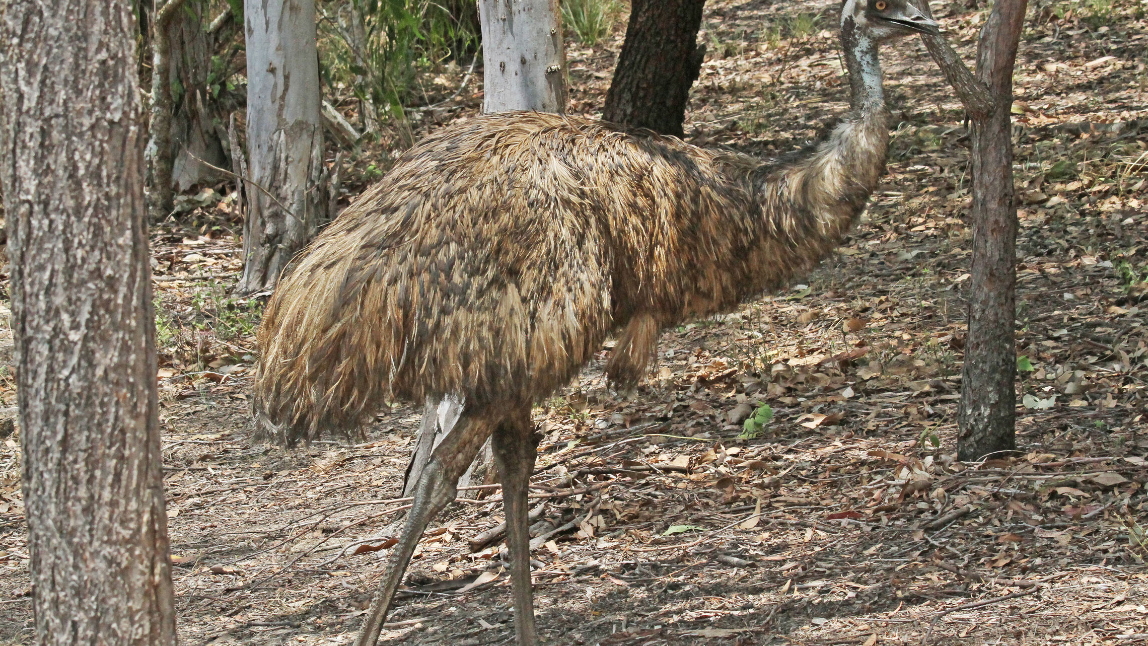 Colours of the Earth stories
